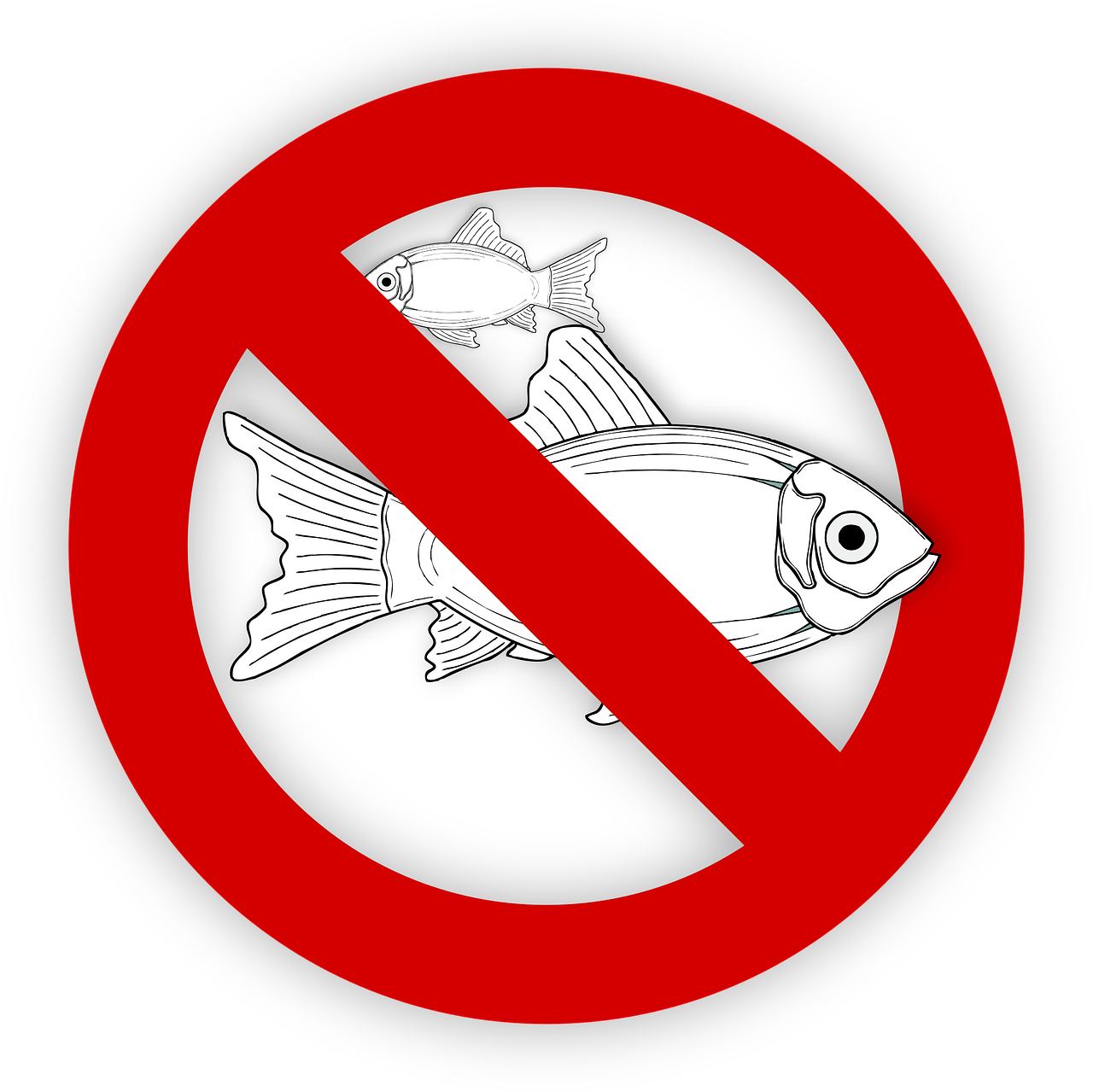 pixabay-995050-468.png
